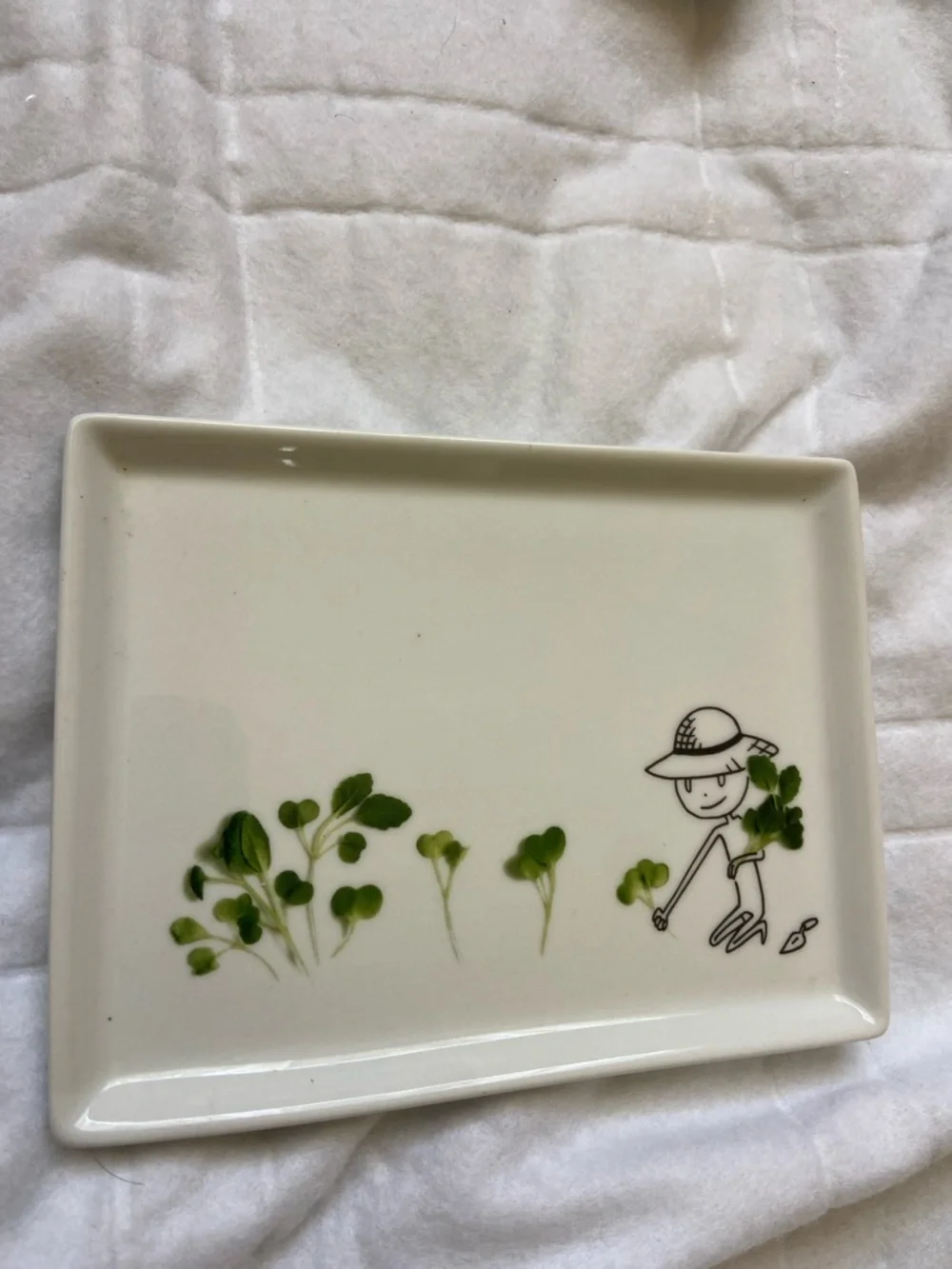 CB2 4 piece set